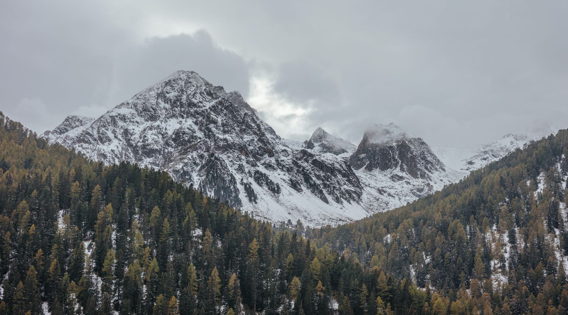 Alpine Winter